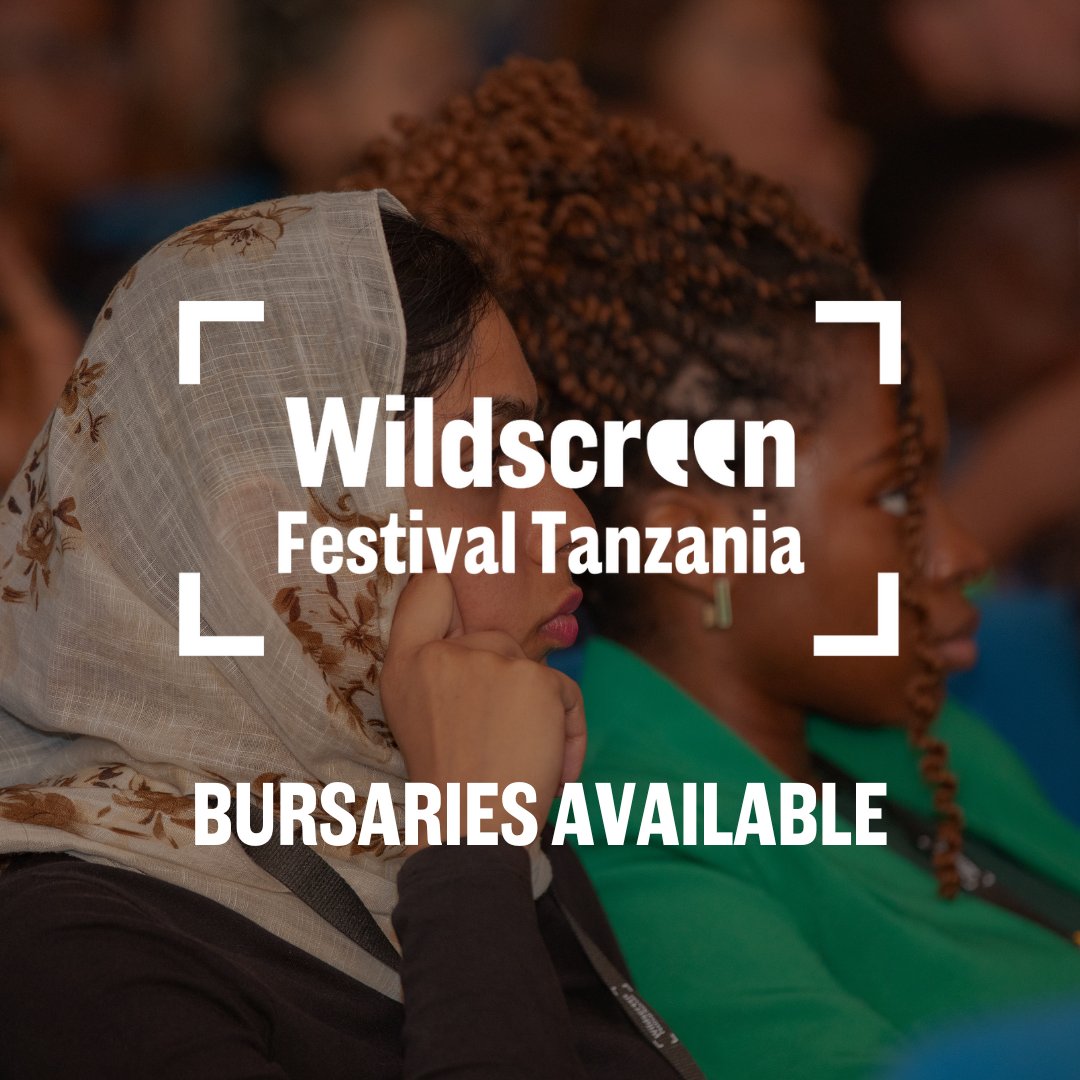 📢 #WildscreenFestivalTanzania is now offering bursaries of varying support for individuals based in Tanzania as well as elsewhere in Africa. To find out if you are eligible and start your application, visit: tfaforms.com/5125274 Deadline: Wednesday 15 May 2024, 4PM EAT
