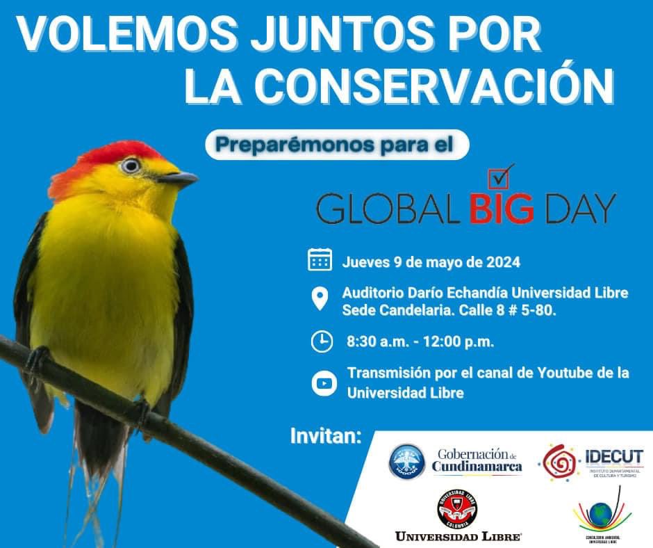Colombia is ready for the #GlobalBigDay

11 May 🗓✅

#birdsuniteourworld #globalbigday
#cadaavecuenta 
#colombiapaísdelasaves