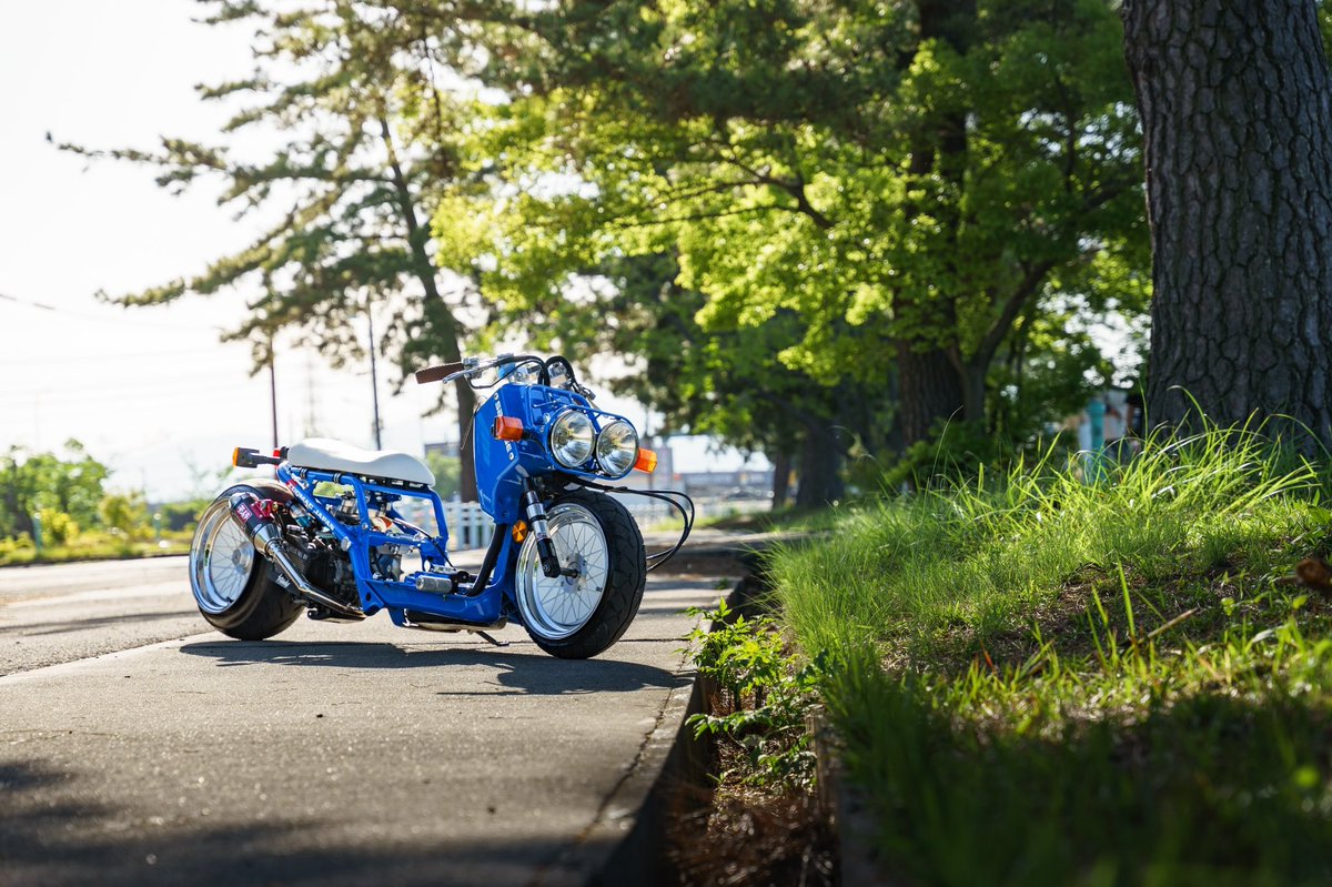 futounation 📸
透き通る写真をいつもありがとうございます