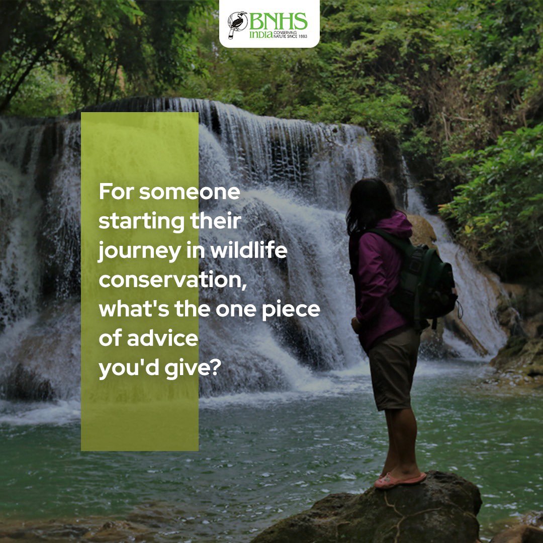 Leave your tips! We believe in embracing curiosity. The forest holds endless wonders for those who seek to understand and protect it. 🌿 #WildlifeConservationJourney #BNHS #TipsAndTricks
