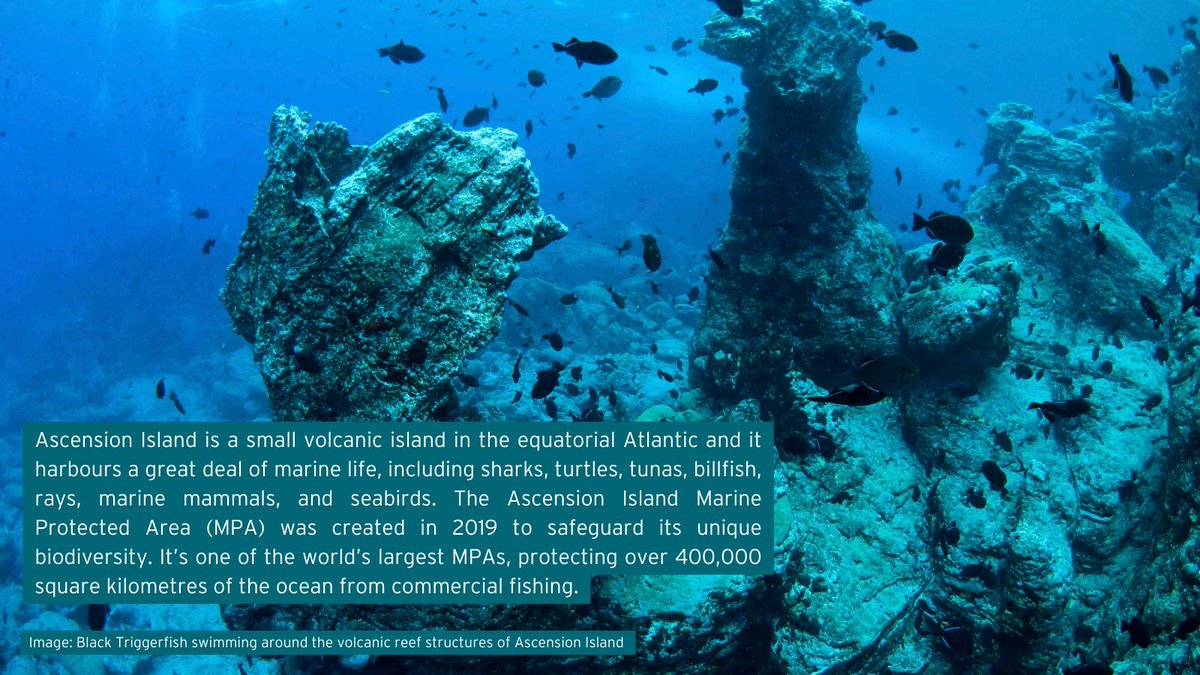 PlymouthMarine's tweet photo. #NewStudy: For the first time, scientists have projected the impacts of #ClimateChange on the #AscensionIsland #MarineProtectedArea (#MPA) and its #EcosystemServices. Computer models forecast a worrying future that shows the MPA is "not safe", read more: https://t.co/jNhojIObTZ https://t.co/kzbPyuFzop