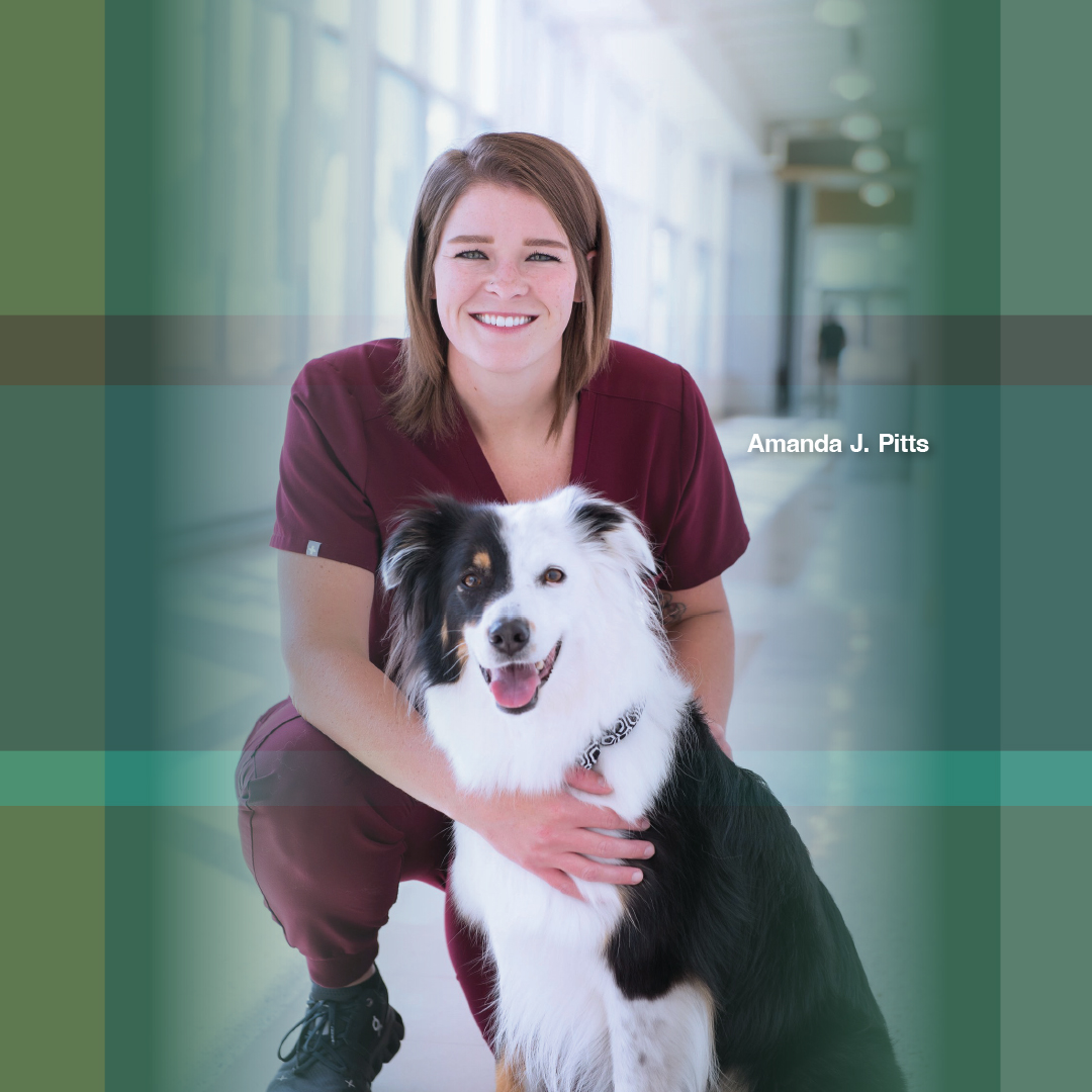 Check out a day in the life of a veterinary radiographer. Read the story in Scanner. asrt.org/main/news-publ…