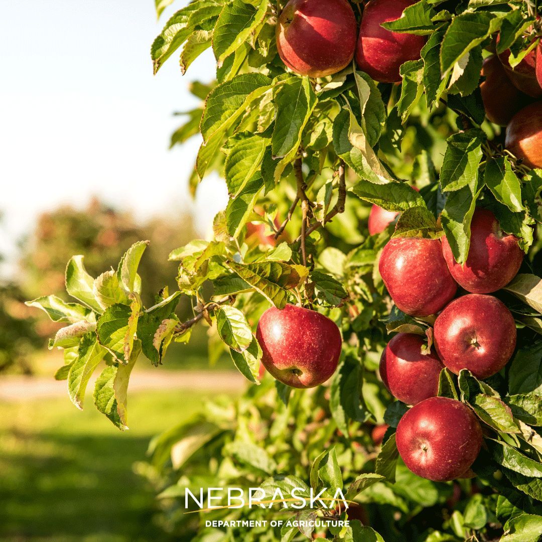 Applicators and growers can communicate and connect to avoid inadvertent pesticide drift through FieldWatch. It’s voluntary, free, easy to use, accurate and secure. NDA monitors the FieldWatch registries for Nebraska. For questions, call 402-471-2351. buff.ly/2RiGjVR