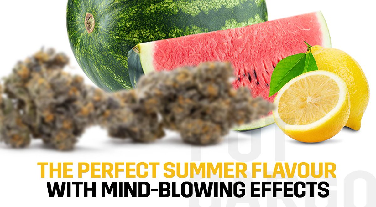 This summer just became a whole lot sweeter! Experience the ultimate summer vibes with Melonatta's mind-blowing flavours.

#tgif #summerideas #summervibes #cannabis