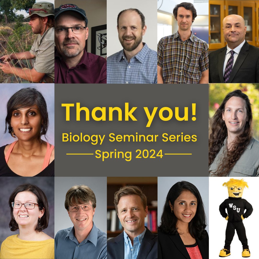 Our Spring 2024 Biological Seminar Series is a wrap! We would like to thank not only the visiting speakers and #BioShox MS graduate students who participated, but also Dr. Shuai for coordinating seminar this semester.🌾💬
@wichitastate
@FairmountWSU

#BecomeMore #FairmountCollege