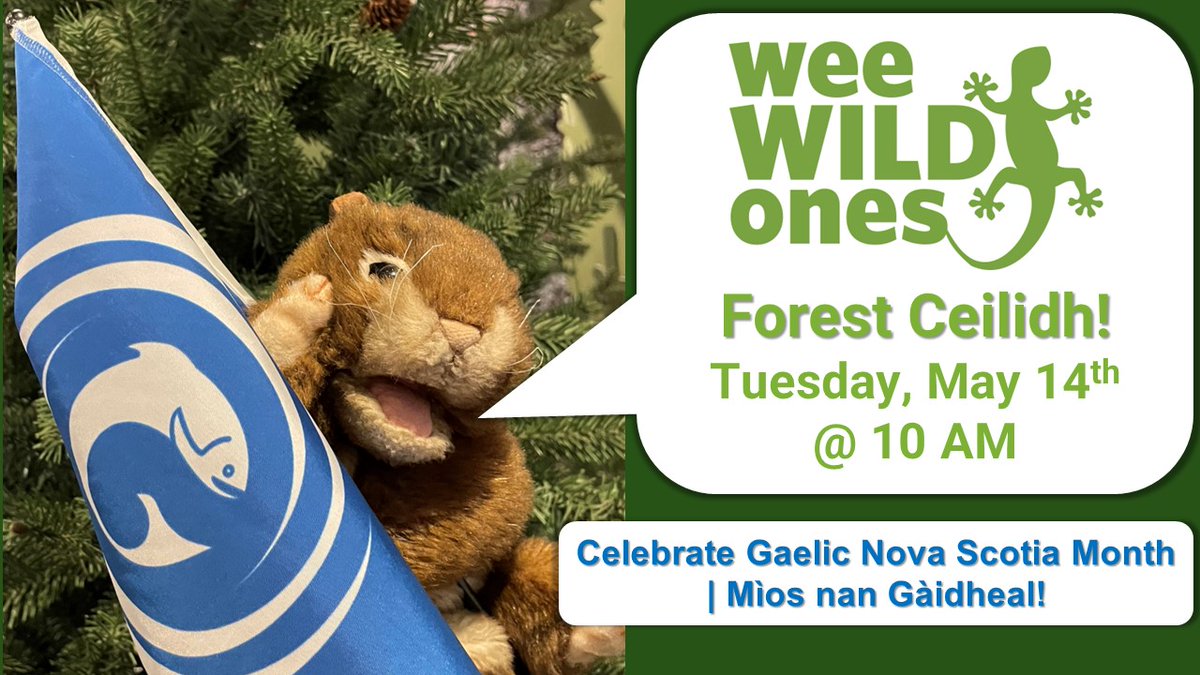 Celebrate Gaelic Month at the Museum! Come join us for a special Wee Wild Ones program. Learn some Gaelic words, listen to a story, sing, dance & have fun!
For more Info: naturalhistory.novascotia.ca/what-see-do/we…
#untangledgaelic #cleachdi #learngaelic #gàidhlig #mìosnagàidheal2024 #mìosnagàidhlig