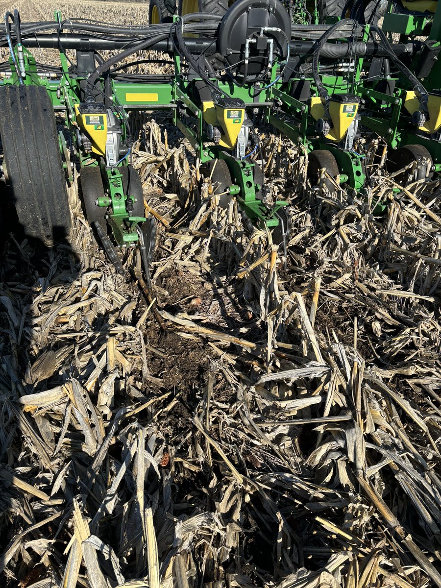 Tyler Zimmerman tweet media