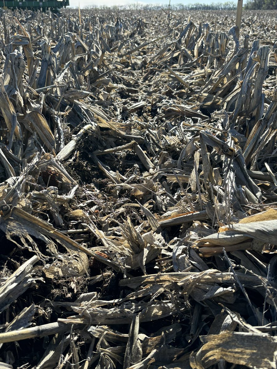 Tyler Zimmerman tweet media