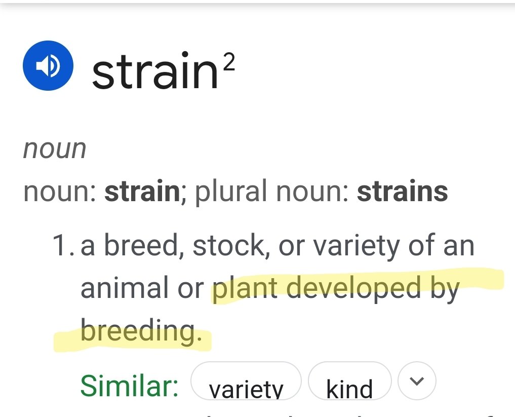 @CRookedGriNN Sorry. But Ryan Lee does not get to define the lexicon. Strain is, and always has been 100% appropriate for cannabis. 

If a plant is developed by breeding, it is a strain. It is that simple.  No need to over complicate things. 

Cultivar = cultivated variety.  That is it.