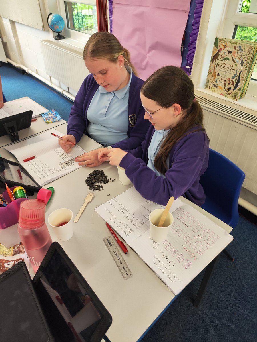 CCCRPrimary's tweet photo. Ask year 6 how birds beaks are adapted for their diet and how we investigated adaptation and natural selection #cccrscience https://t.co/YLgYQ1TXkH