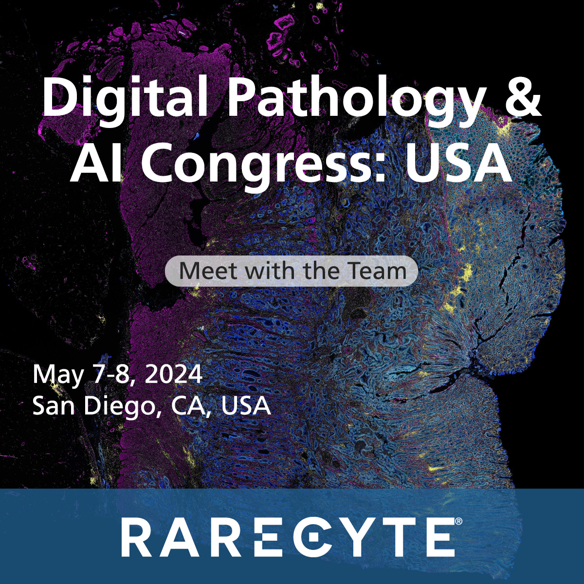 We're delighted to be attending the Digital Pathology & AI Congress in San Diego this week! Meet with our team to discuss what's new in spatial biology, rarecyte.com/contact-us/?ut….

#DigiPathUSA #DigitalPathology #SpatialBiology #RareCyte