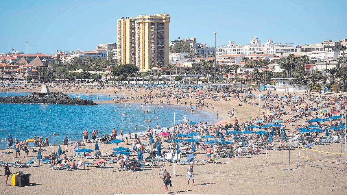 #Tenerife ya cuenta con 16 banderas azules, sumando las playas de Fañabé y Playa San Juan, en la costa sur de la isla, que son las últimas en unirse a esta distinción. Un motivo más para disfrutar del paraíso de nuestras aguas 🌊✨ 🔗eldia.es/sociedad/2024/…