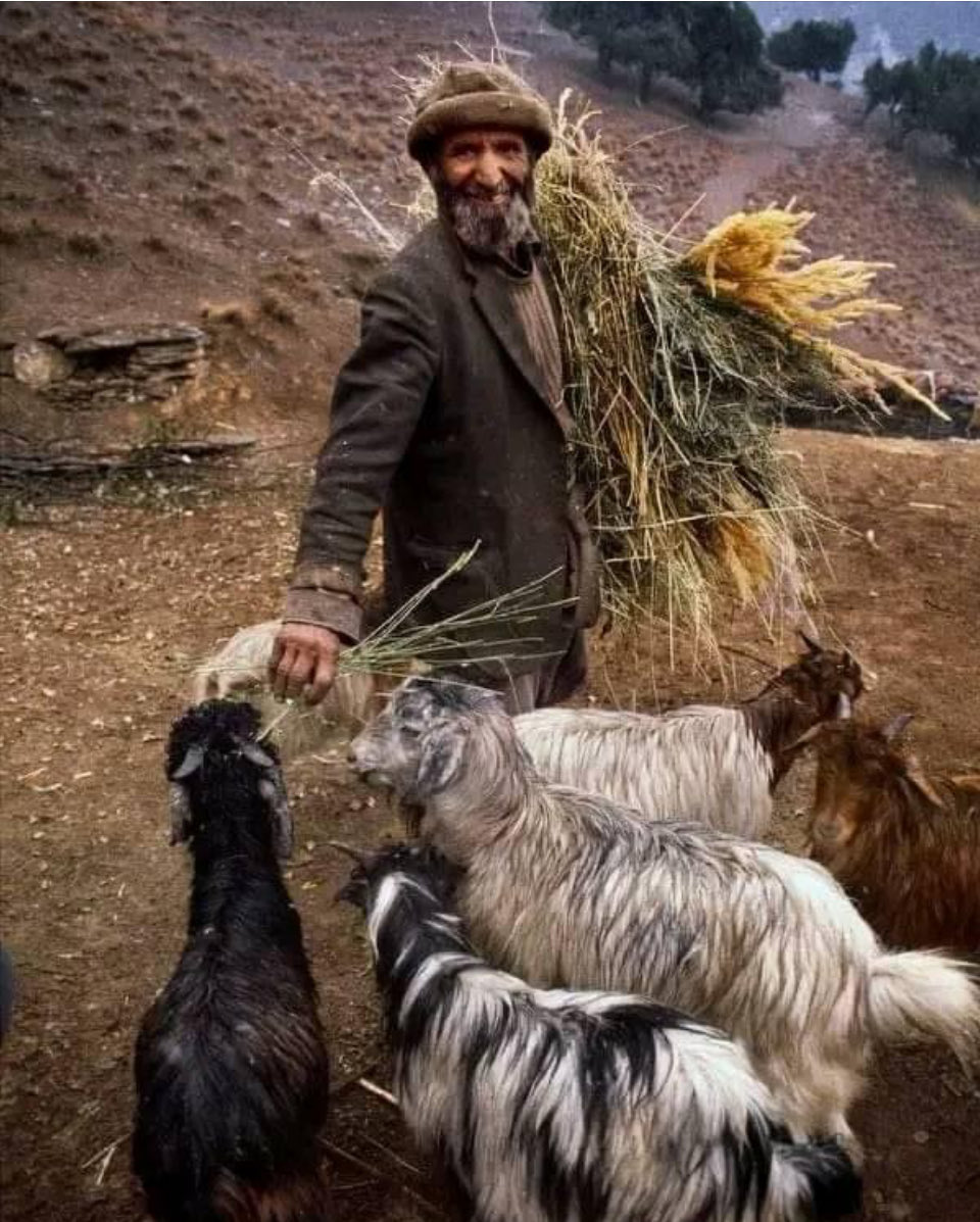 İyi akşamlar diliyorum aydınlık yarınlar da yaşamak umuduyla

“Elimde olsa dünyayı küçümserdim
İyisine de kötüsüne de yuh çekerdim
Daha doğrusu bu aşağılık yere
Ne gelirdim, ne yaşardım, ne ölürdüm.”

Ömer HAYYAM