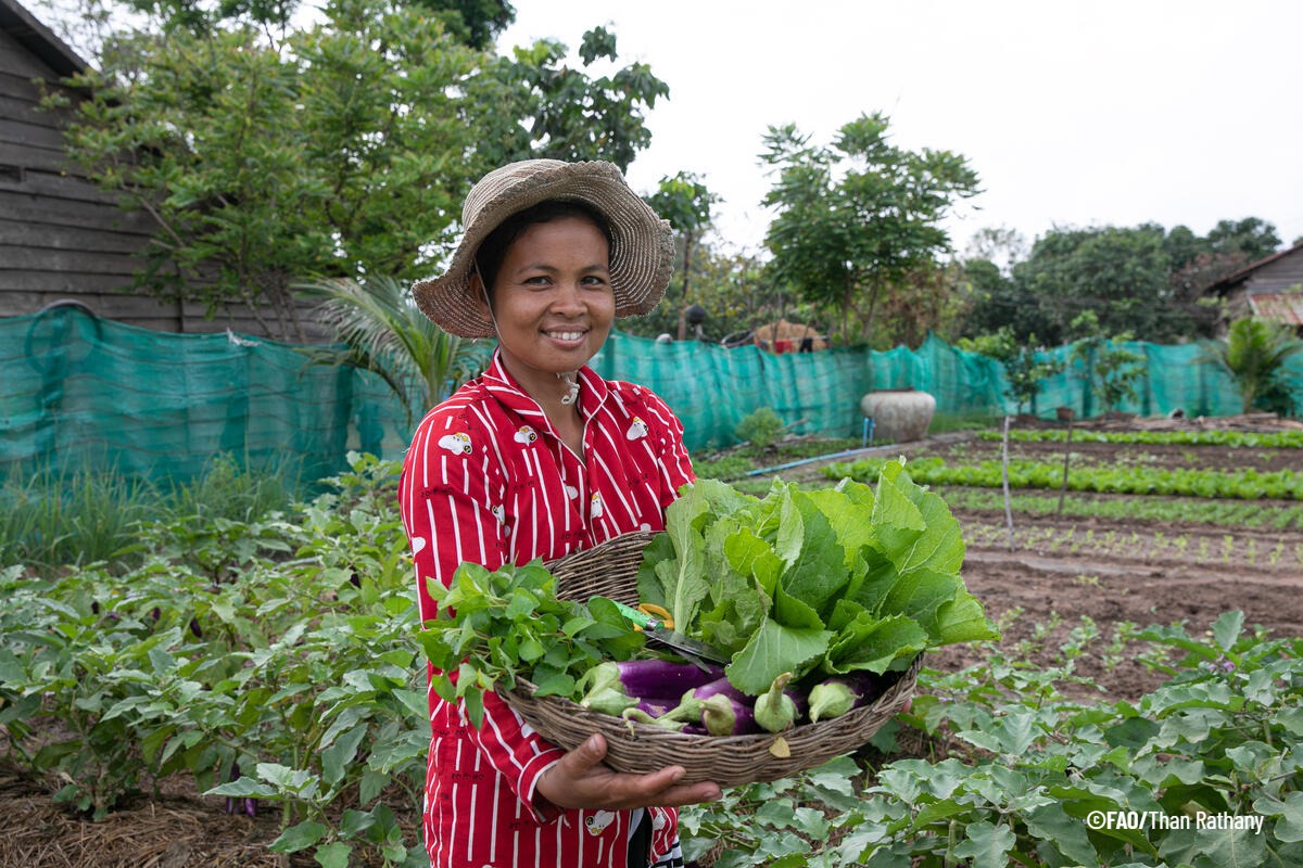 Celebramos la designación del 2026 como el Año Internacional de la Mujer Agricultora por la Asamblea General de las @UN. Este año orientará los esfuerzos para fortalecer el papel crucial de las mujeres en la agricultura y en los #SistemasAgroalimentarios #MujerAgricultora2026