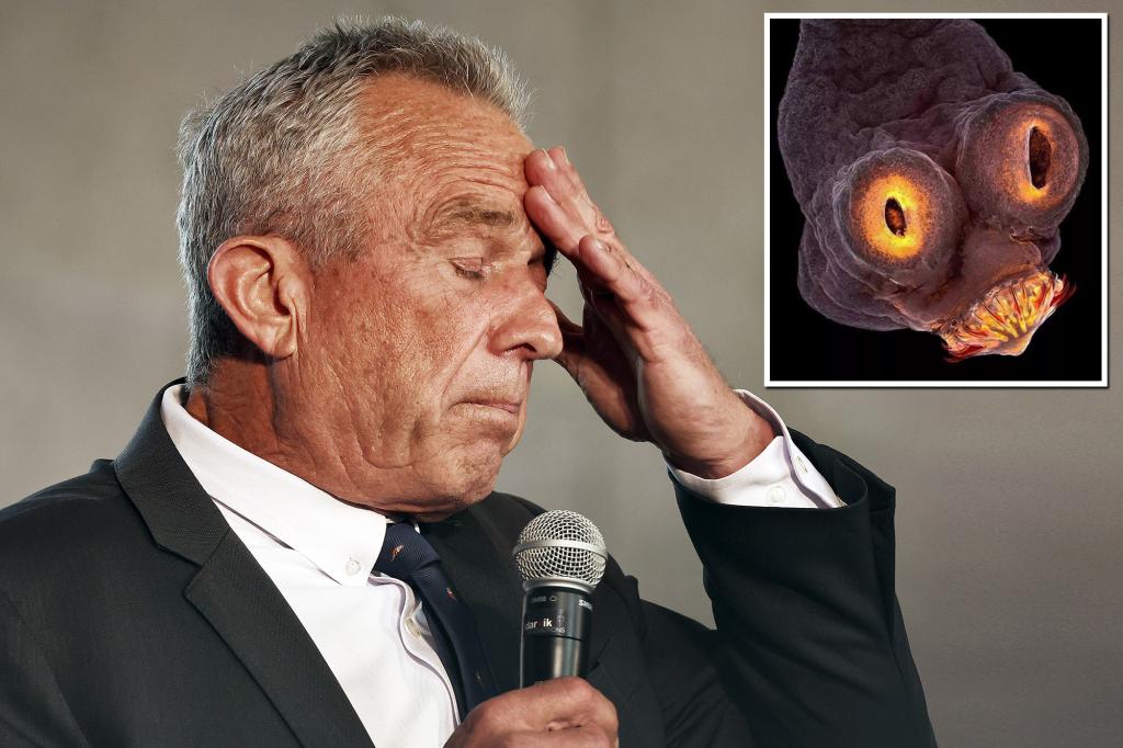 RFK Jr. says doctors found a dead worm in his head after it ate part of his brain trib.al/BSycIZm