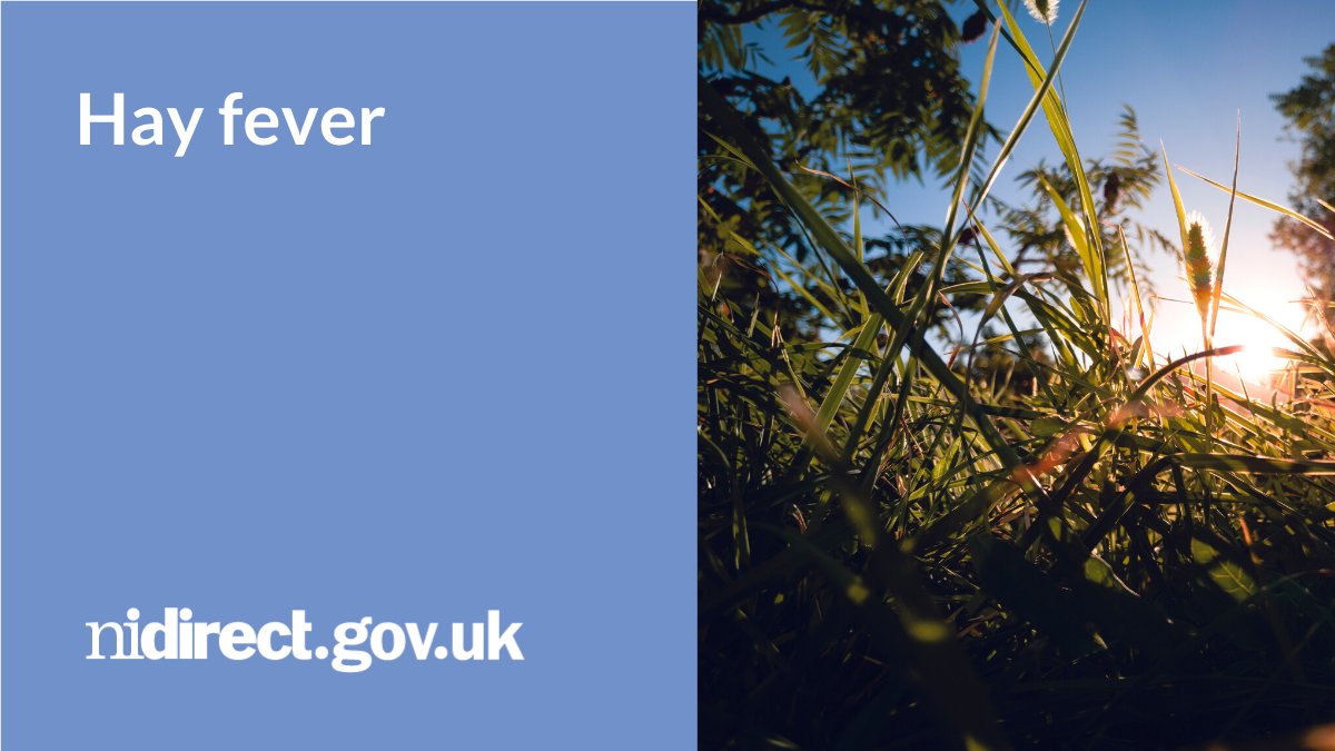 Hay fever is a common problem come spring time. There is information about what causes hay fever and what you can do to treat it: nidirect.gov.uk/conditions/hay… @publichealthni @healthdpt
