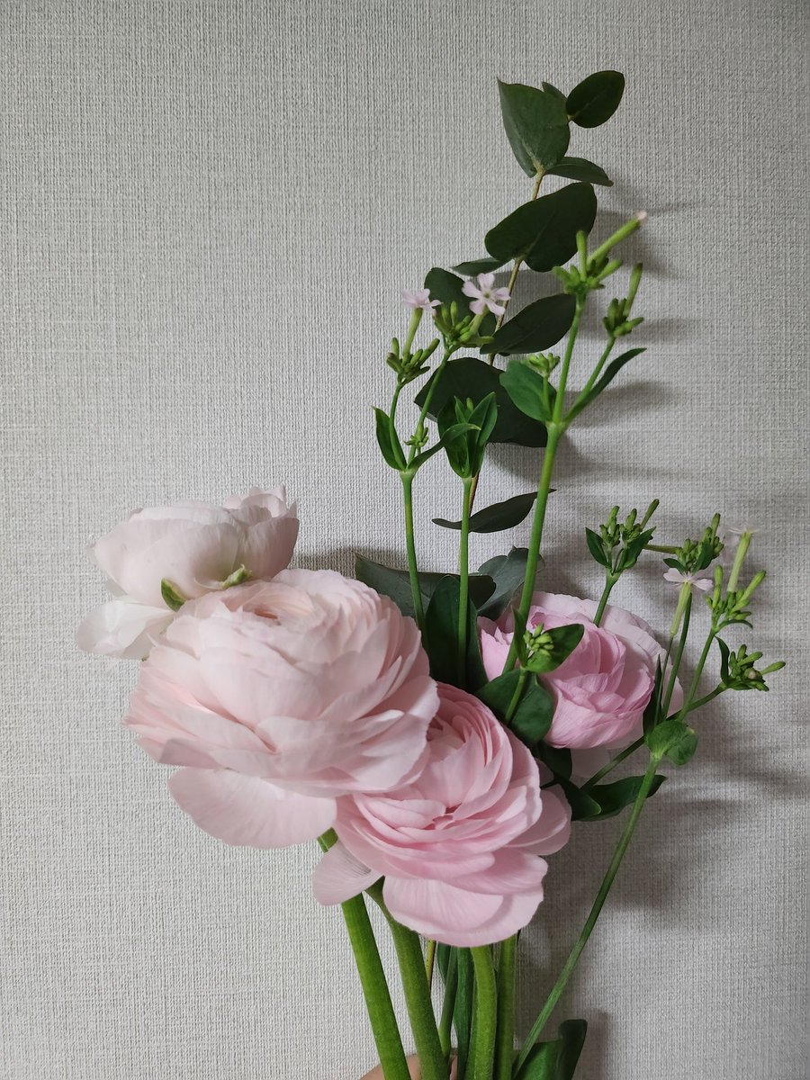Ranunculus 
for Mother

happy parents' day

2024. 5. 8.
Seoul