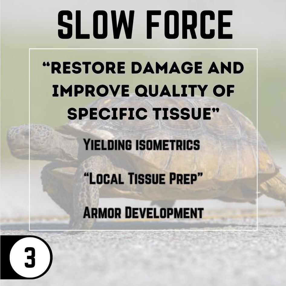 Huntereis_sc's tweet image. Slow Force 🐢 
Human Force 🤚 
•
#TheForceSystem