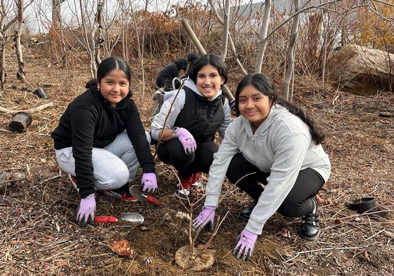 Spring has sprung, and a new season of planting has begun. Come meet fellow New Yorkers who are helping keep our city's greenspaces in tip top shape. Join our Stewardship team in Idlewild Park on 5/11 for a tree, shrub, and plug planting! Register here: on.nyc.gov/4bk87zA