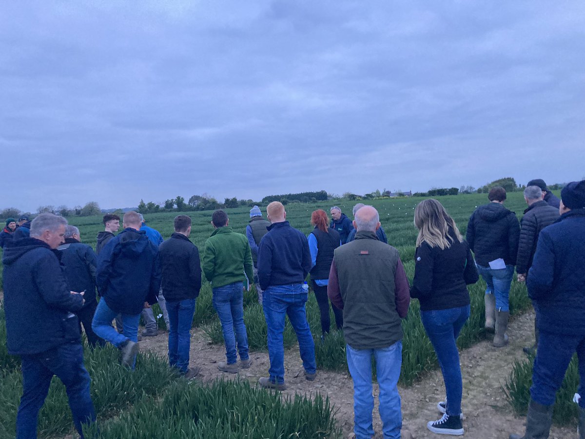 Strong turnout for the <a href="/TeagascCrops/">Teagasc Tillage Team</a> Spring crop walk at <a href="/DrummondsAgri/">Drummonds</a> trial site yesterday. The difficult spring was a focal point of discussion and how to manage crops going forward with heavy workload and changing weather patterns. Well done to all involved.