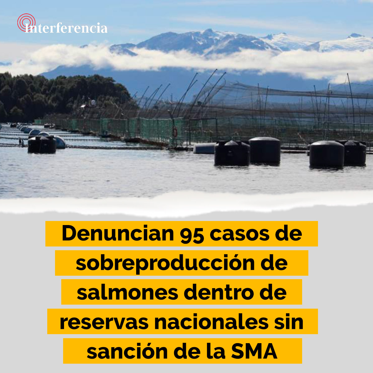Nueve empresas habrían producido más de 67 mil toneladas de salmones por sobre lo autorizado, todo dentro de reservas nacionales en Aysén y Magallanes. Si la SMA no formula cargos, las infracciones comenzarán a prescribir en mayo de este año. tinyurl.com/4am8s7yr