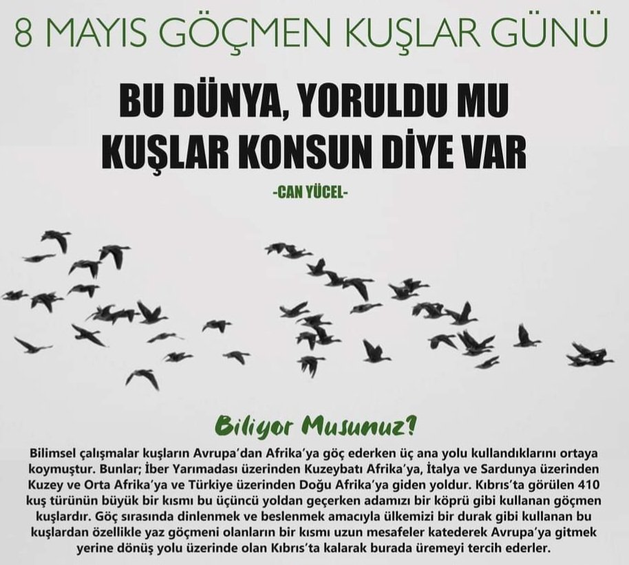 Bu dünya, yoruldu mu kuşlar konsun diye var / Can Yücel #8mayısgöçmenkuşlargünü