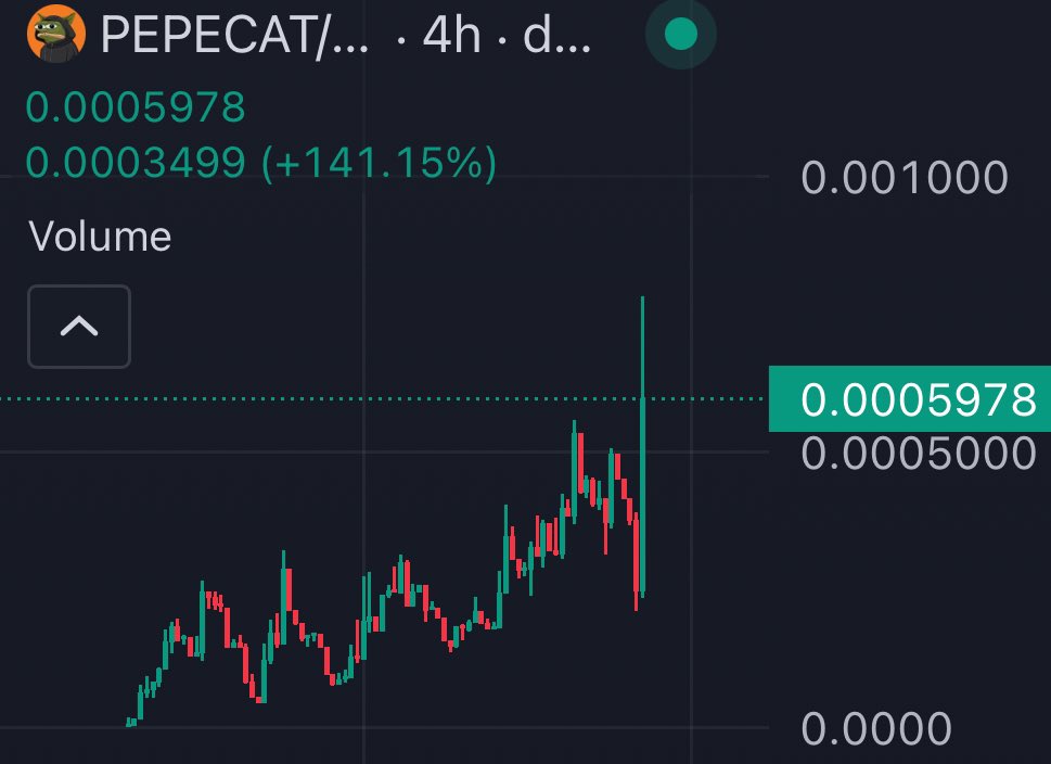 DoxxedCrypto's tweet image. #PepeTheCat #PepeCat 👀