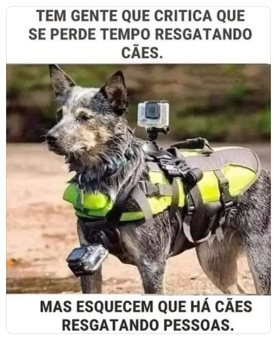 feconandra's tweet photo. Não é apenas sobre o desastre no Rio Grande do Sul, em Mimoso do Sul (ES), em Brumadinho ou nas guerras mundo a fora, é sobre a nobreza do espírito de quem ajuda contra a mente limitada de quem fala. https://t.co/UUdEusNGpr