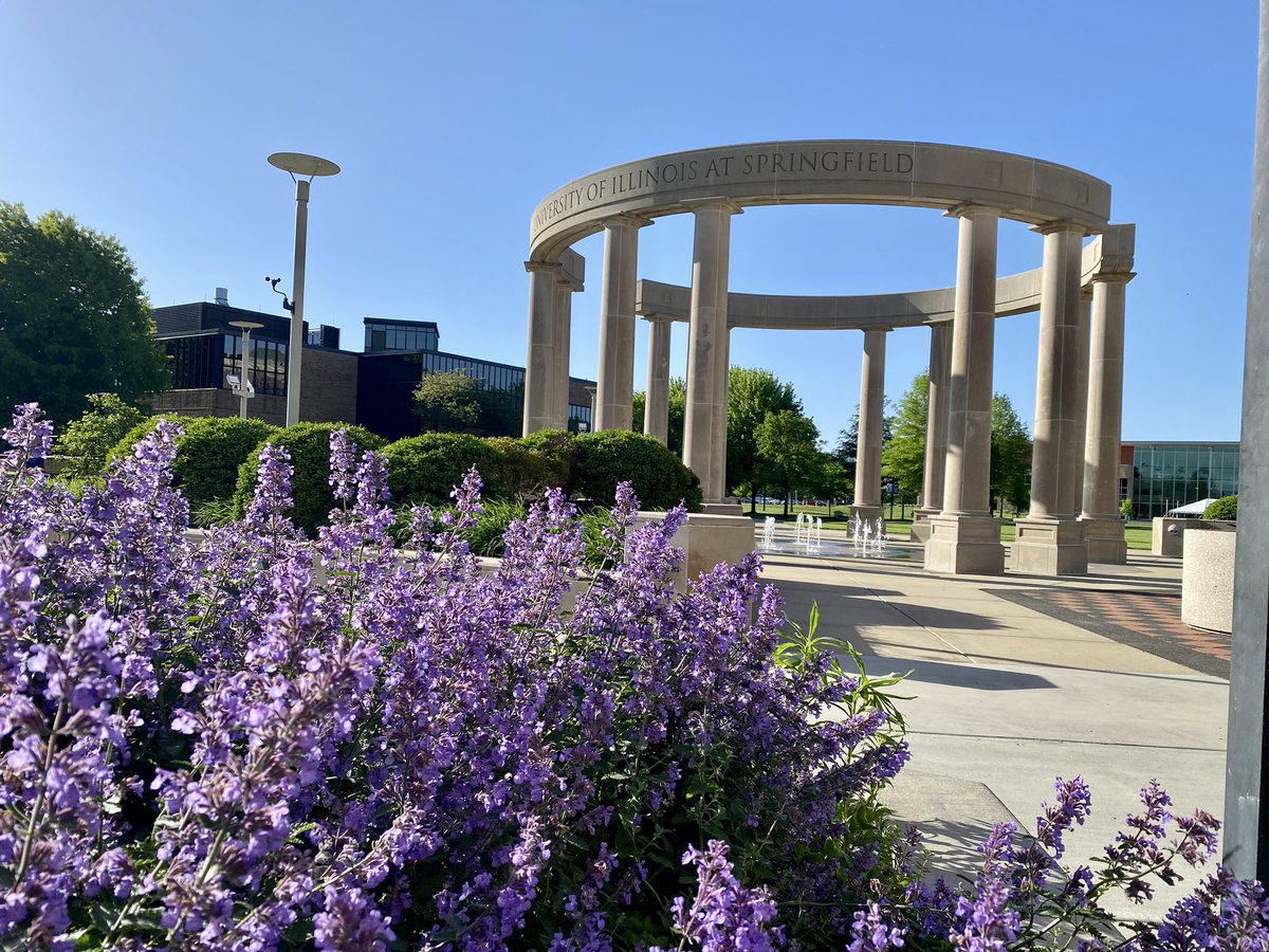 Good morning from @UISedu ! Heading to a meeting and noticed these lovely purple flowers! Shout out to the grounds crew for planting so many different varieties, they look beautiful!