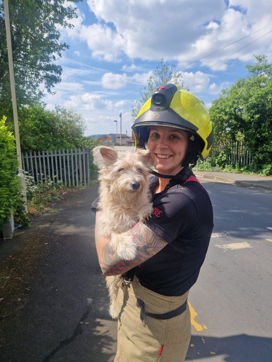WMFSHadenCross's tweet photo. 🟢 Everyone loves a cute dog pic! Heres one we rescued earlier.. Holly got herself stuck in some railings, using our @HolmatroUK spreaders we managed to create enough space for her to be freed - much to the delight of her owners. #notjustfires @WestMidsFire https://t.co/kBYLkB8kUy