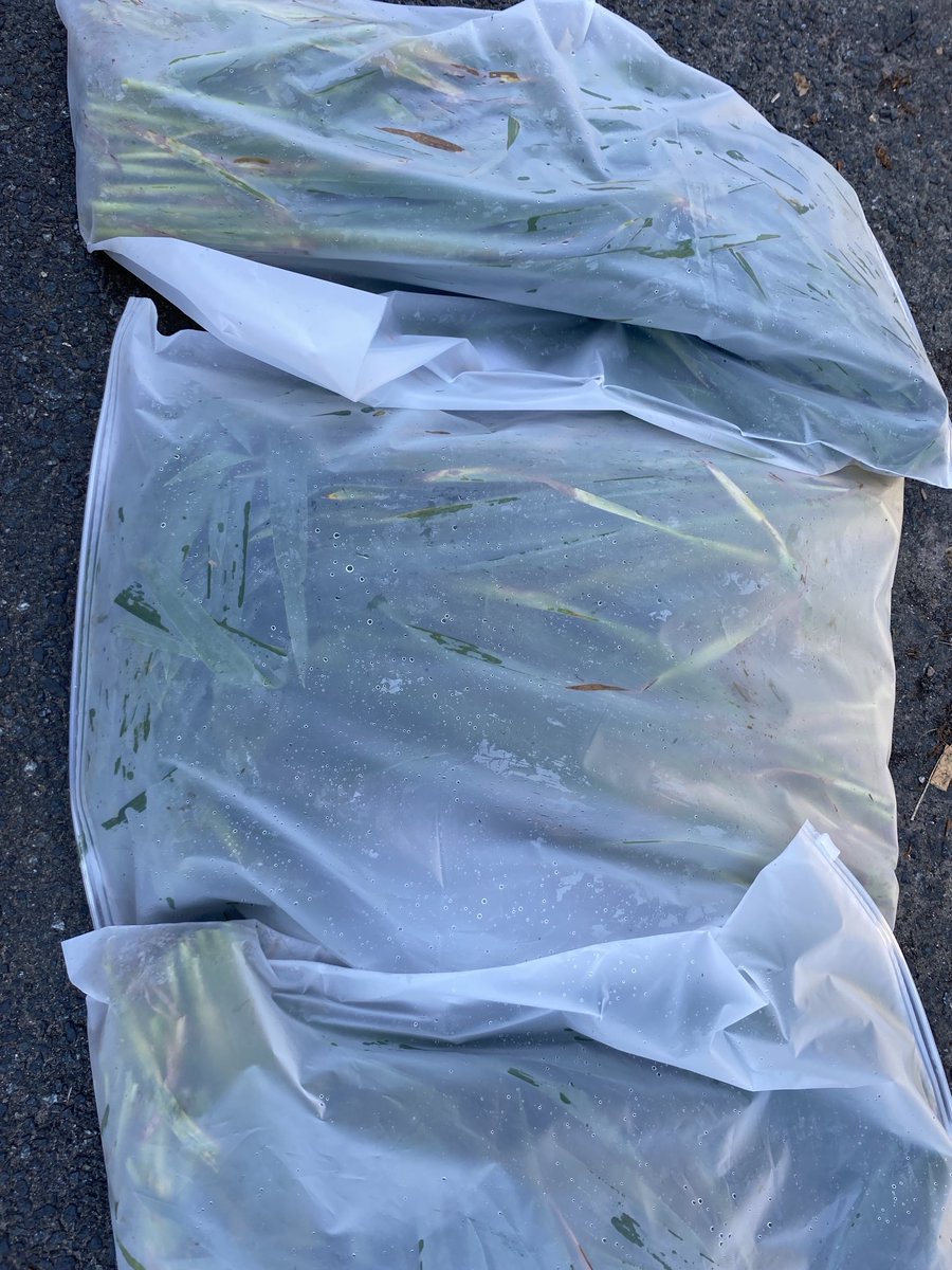 Nonington Farms tweet media