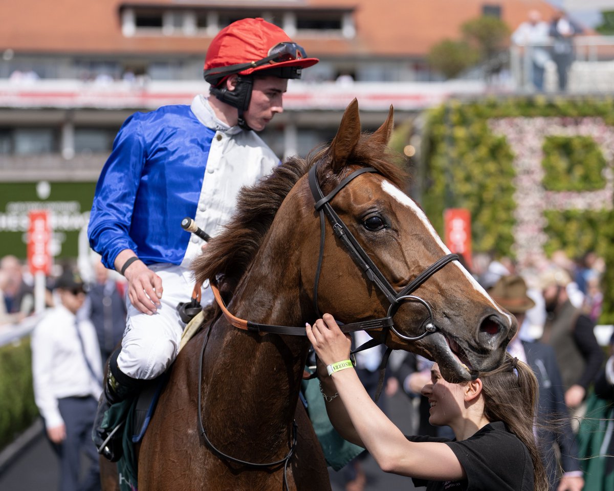 Two starts, two wins & first Listed success as @RalphBeckett FOREST FAIRY (IRE) collects in Cheshire Oaks @ChesterRaces. ✨ Oaks on the agenda for daughter of @BallylinchStud Waldgeist bred by Philip & Orla Hore & sold from their @MountEatonStud to @A_C_Elliott & her trainer…