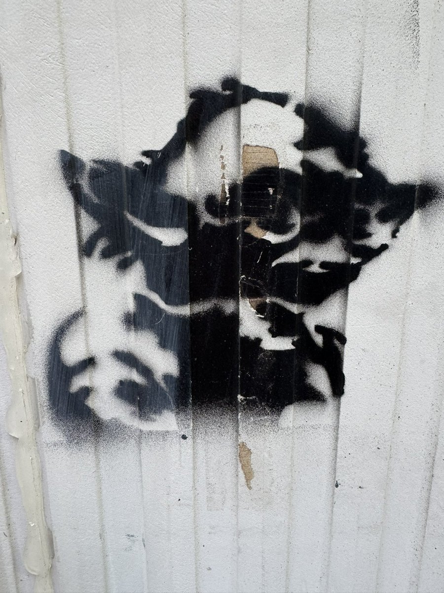 TheCryptoSloth $KENDU $BODA 🦥 tweet media