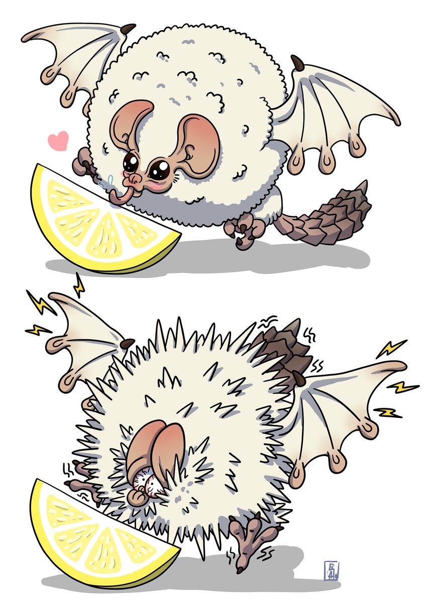 Monster Hunter is one of my favorite game license. I was inspired by the funny work of @CBomochi and drew this little guy : Paolomu testing citrus. Poke @MHFREvent @Aranok_
#MonsterHunter #paolomu #CAPCOM #モンハン