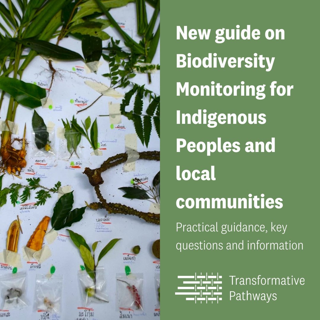 #NEW 🌿#Biodiversity monitoring guide for #IndigenousPeoples and #LocalCommunities Supports communities to make decisions on their own land, and to collect accurate data to strengthen their #LandRights claims transformativepathways.net/introducing-a-… #TransformativePathways #ForPeopleAndNature