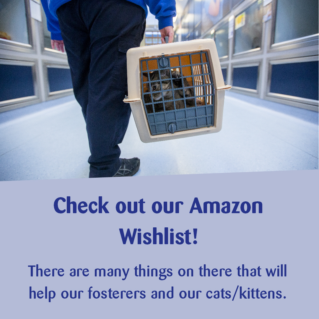 If you can, please consider supporting us via our Amazon Wishlist. We would like it if people would consider buying the hand sanitiser/wipes as not only will they be useful for our fosterers in their pens, they will be useful for our upcoming stalls too. amzn.eu/braplrG