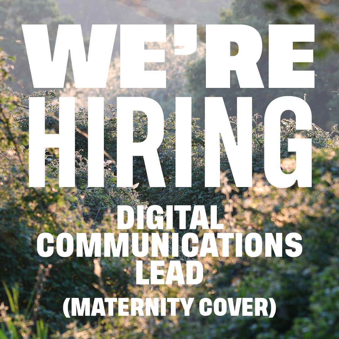 Rewilding Britain job alert 🔊 Could you lead the development and delivery of our digital comms to build awareness, understanding and engagement with Rewilding Britain? We’re looking for an exceptional digital leader to fill this maternity cover role 👇 rewildingbritain.org.uk/about-us/who-w…