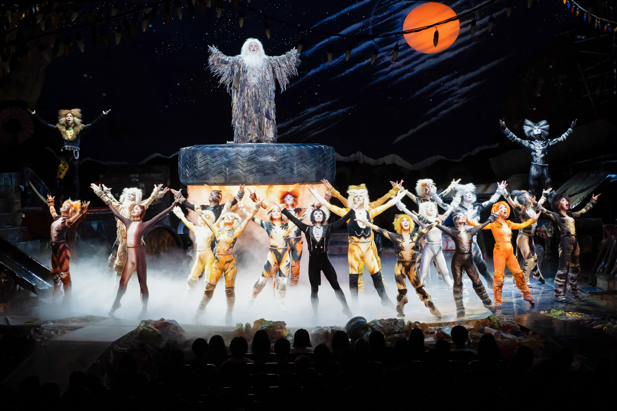 CatsMusical's tweet photo. ✨ Let your memory lead you...✨ 

CATS is playing its final week in Nagoya, Japan! 🐾 

📸 - Katsuhiko Hori

#CATSMusical #CATSJapan https://t.co/vTK6GHa5TG