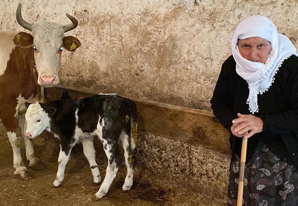 Kars'ta hayvancılık ile uğraşan 71 yaşındaki Sarıgül Kaçan, buzağısını satıp gelen parayı Filistin'deki mazlum müslümanlara göndereceğini açıkladı.
İnfak ederken 1'in 1000'i geçmesi misali...