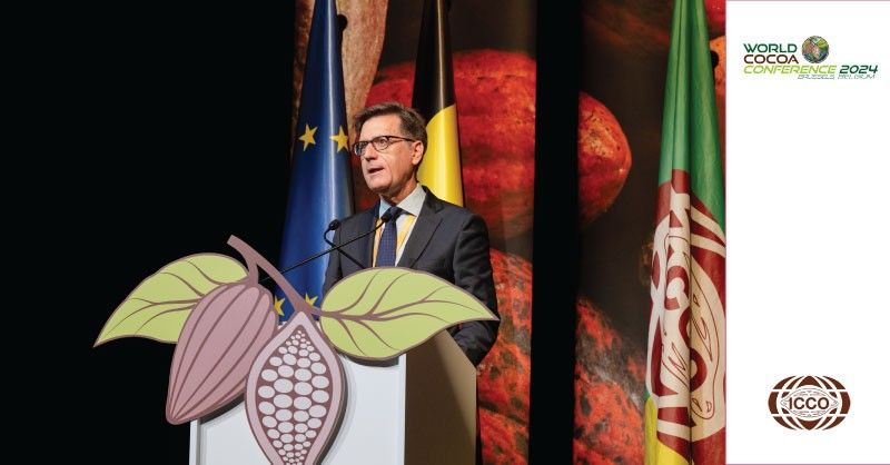 📢 H.E. @RafaSorianoO, Chairman of the ICCO Council and Ambassador of Spain @EmbEspRCI 🇪🇸 to Côte d'Ivoire 🇨🇮, opening speech at the #WorldCocoaConference icco.org/wcc5-opening-s… #CocoaBrussels2024 @WorldCocoaConf