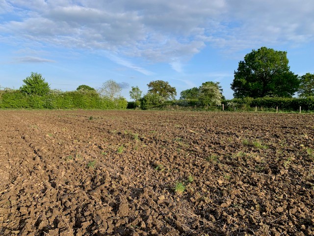 Great to see the Friends of the #LDV's new field ‘New Meadow’ at North Duffield Carrs now prepared in advance of sowing both the new hay meadow & wild bird crop. Really exciting to see how this field develops over the coming years - another great job by the Friends 👏