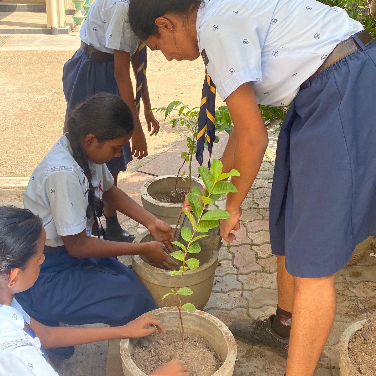 road2rights's tweet image. Earth Day Initiative at Sapugaskanda Vishaka Balika Vidyalaya was a beacon of environmental stewardship! Partnering with "Thuru," we planted seeds of awareness on climate action. Empowered by knowledge, we're sowing the seeds for a sustainable future! 🌏
#EarthDay2024