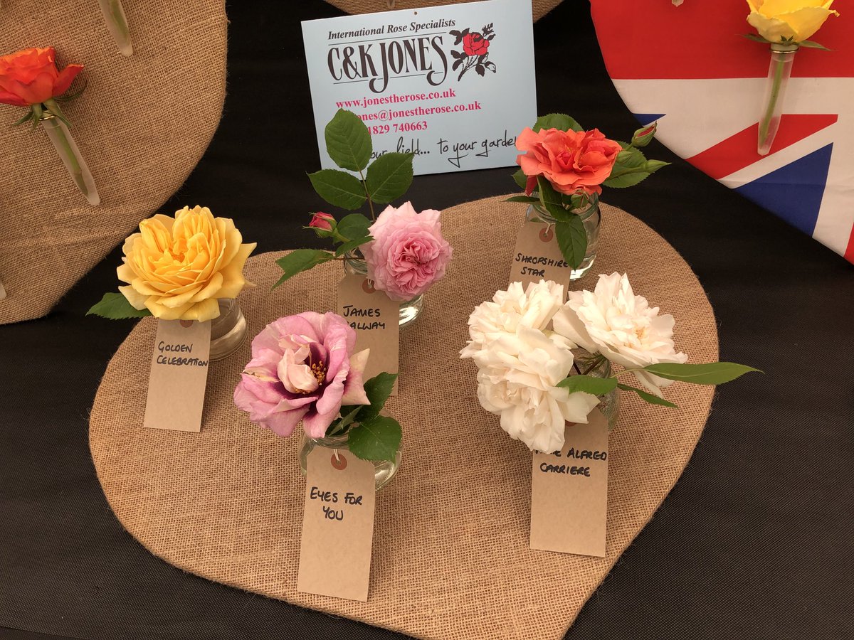 #RoseWednesday, we’ve some roses from our nursery on our display at #RhsMalvern #jonestherose #rosegrower #cheshiregrown