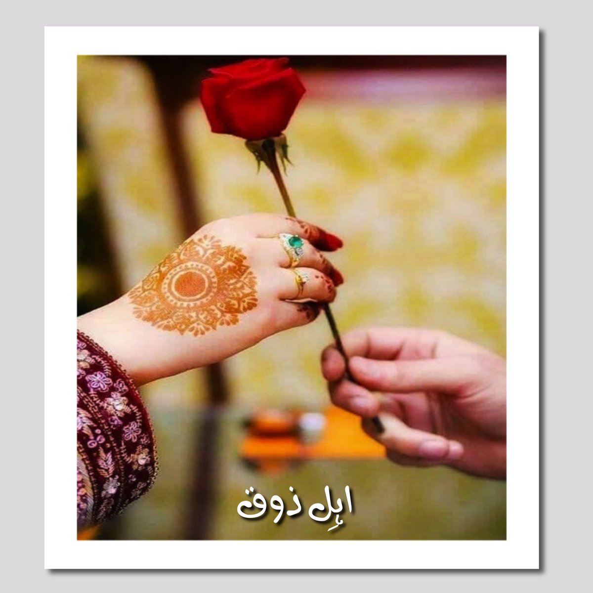 جب تم ہی میرے مُقابل ہو تو فتح کیسی🍂 جاؤ ہم ساری خوشیاں وار گئے, ہم ہار گئے🥀 #บางกอกคณิกา