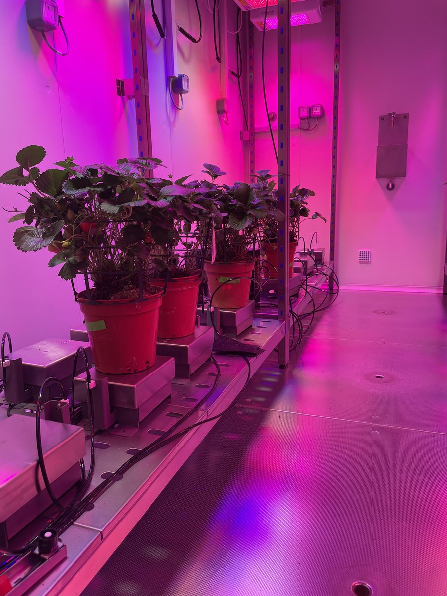 Andrew Simkin tweet media