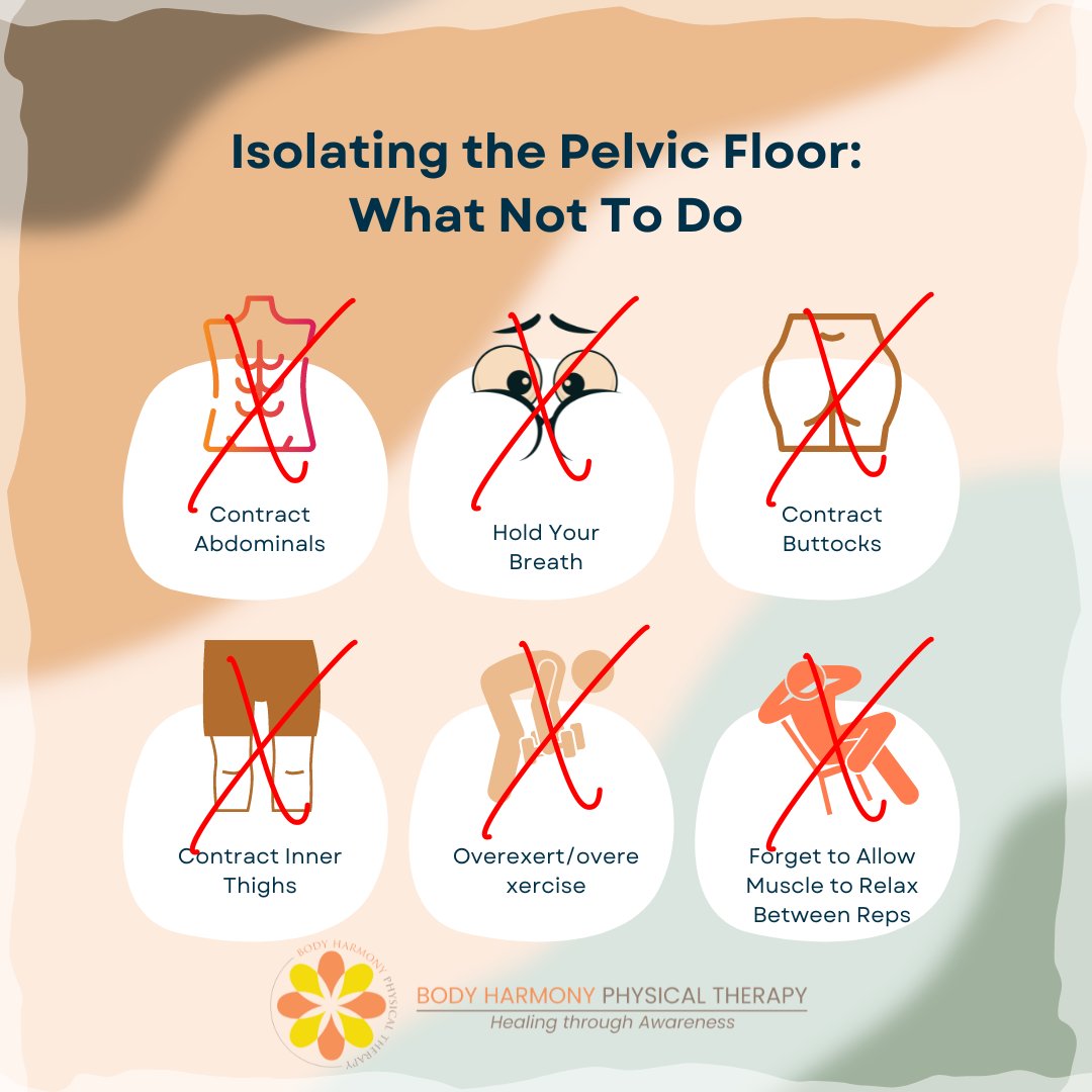 👩🏽‍⚕️Pelvic health PT's have many methods to help improve pelvic floor muscle function. 💪🏽One method is by using real-time ultrasound where you can see how your pelvic floor is working. 📲Call 212-233-9494 #pelvicfloortherapy #pelvichealthpt #pelvicptnyc #pelvicphysicaltherapy