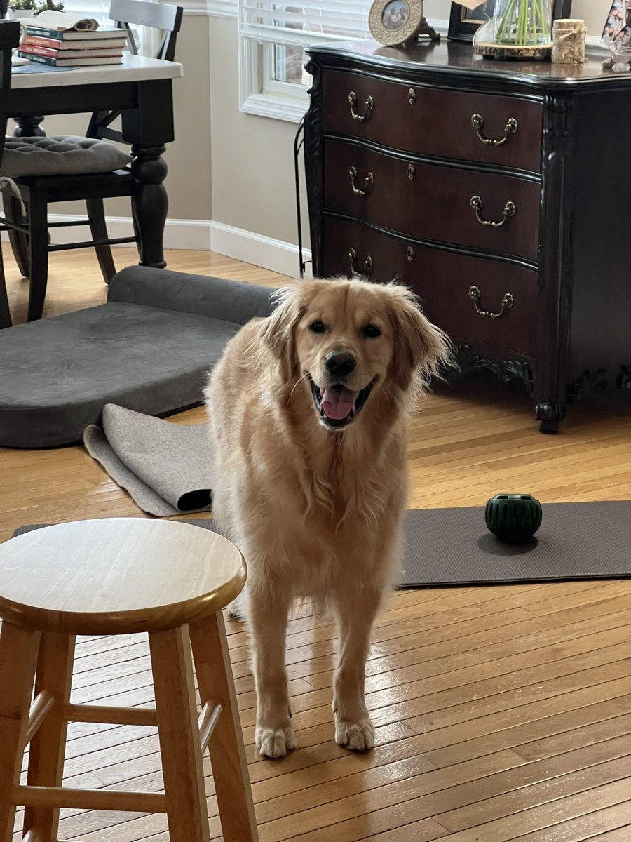 M🐘 ⁷ tweet media