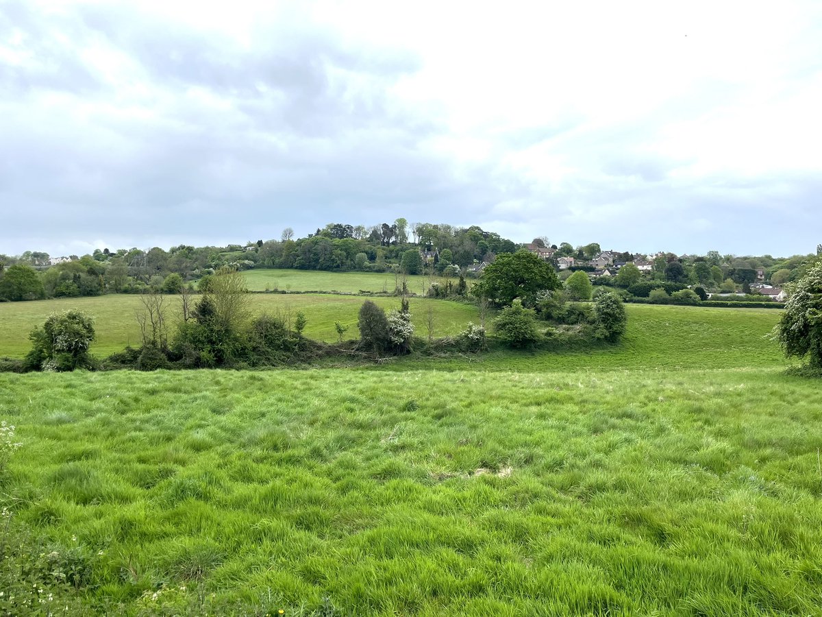 #Hillfortswednesday Pretty sure that the tree-lined area in the centre is Bury Hill Fort, just South of Winterbourne in #Gloucestershire; the photo was taken (on Sunday 5th May) looking East from Hambrook Common. The houses on the right are the hamlet of Moorend (I think).