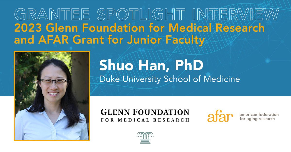 In this #Grantee Spotlight Interview, 2023 Glenn Foundation for Medical Research and AFAR Grants for Junior Faculty recipient @theHanLab of @AgingDuke speaks on what inspires her AFAR supported #agingresearch. 
Read more here: ow.ly/kUSW50Ru5WQ #healthspan #longevity