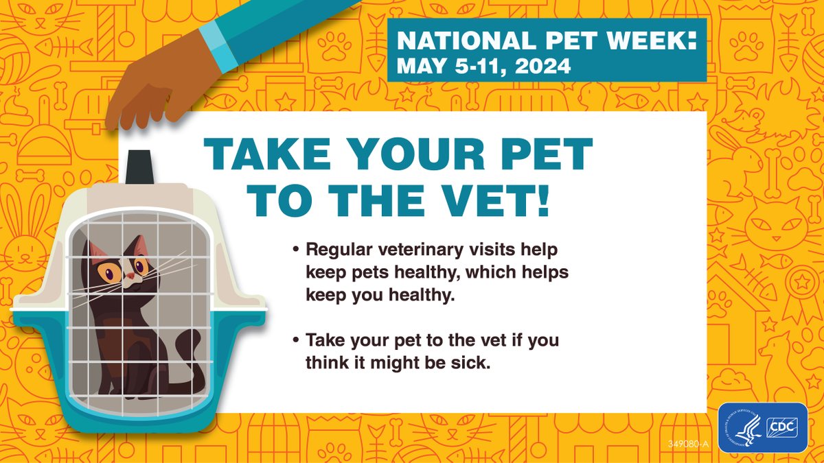 Love your pet? See your vet! Make regular veterinary visits to keep them healthy and prevent #infectiousdiseases. 🐈  

Find out more: bit.ly/3bh1Mv 

#PetWeek